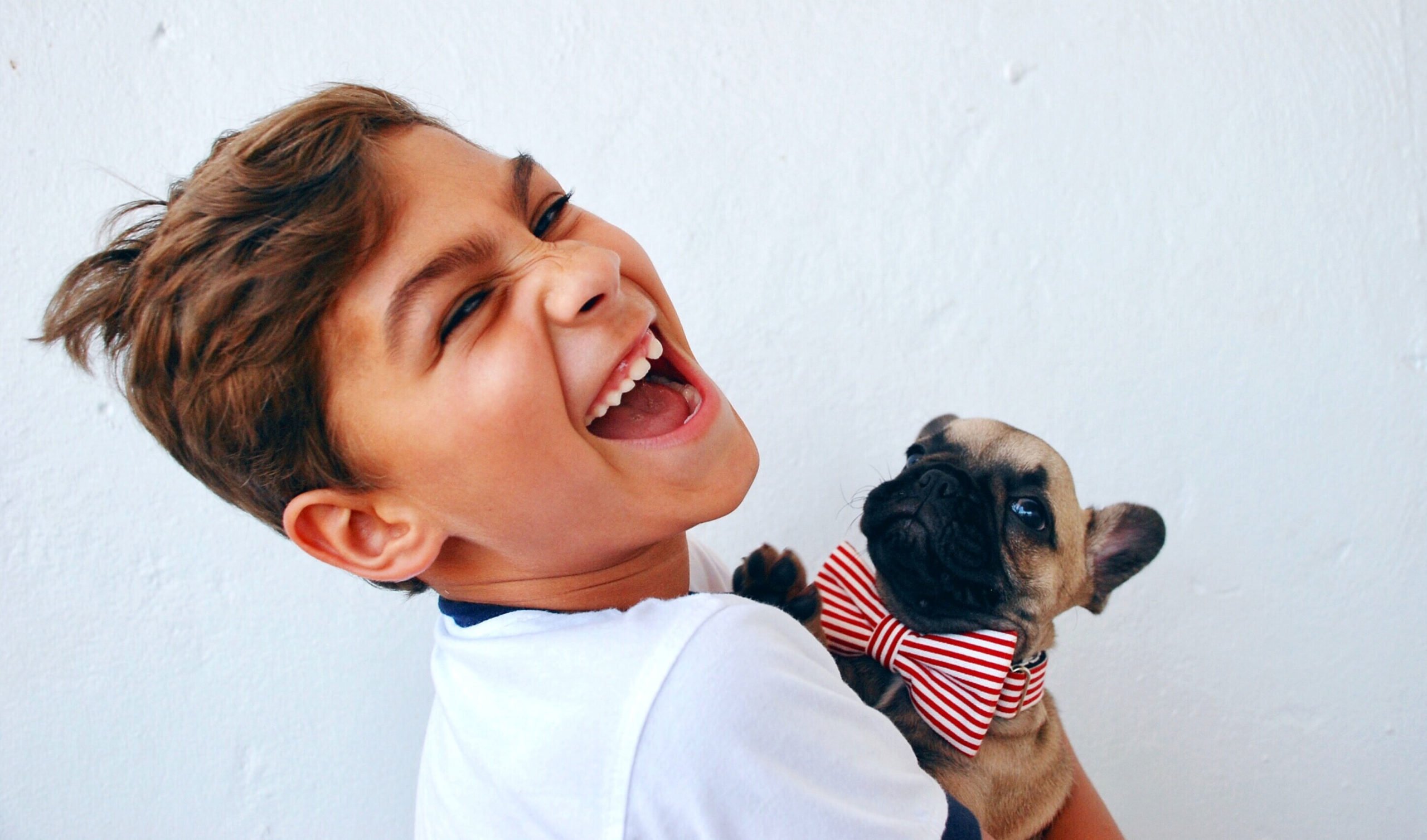 Ihre Anmeldung wurde erfolgreich versandt.