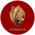 Atimana - Associazione Tecnica Internazionale del Mastino Napoletano